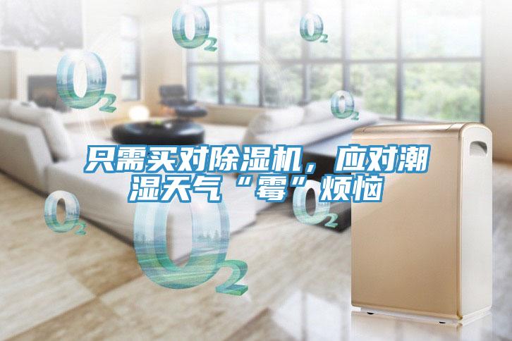 只需買(mǎi)對(duì)除濕機(jī)，應(yīng)對(duì)潮濕天氣“霉”煩惱
