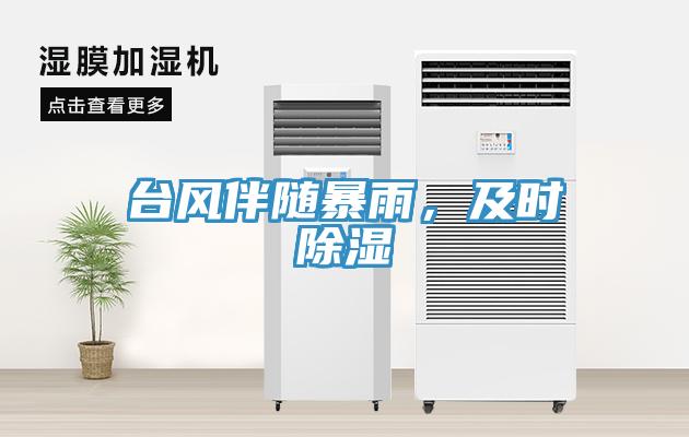 臺(tái)風(fēng)伴隨暴雨，及時(shí)除濕