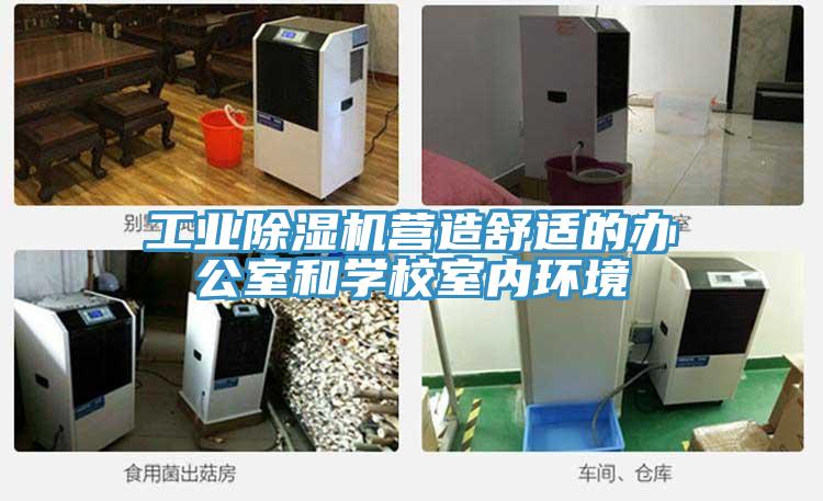 工業除濕機營造舒適的辦公室和學校室內環境