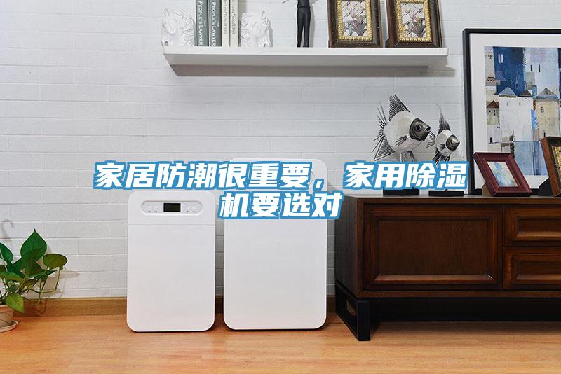 家居防潮很重要，家用除濕機(jī)要選對