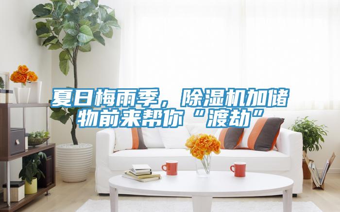 夏日梅雨季，除濕機(jī)加儲(chǔ)物前來(lái)幫你“渡劫”