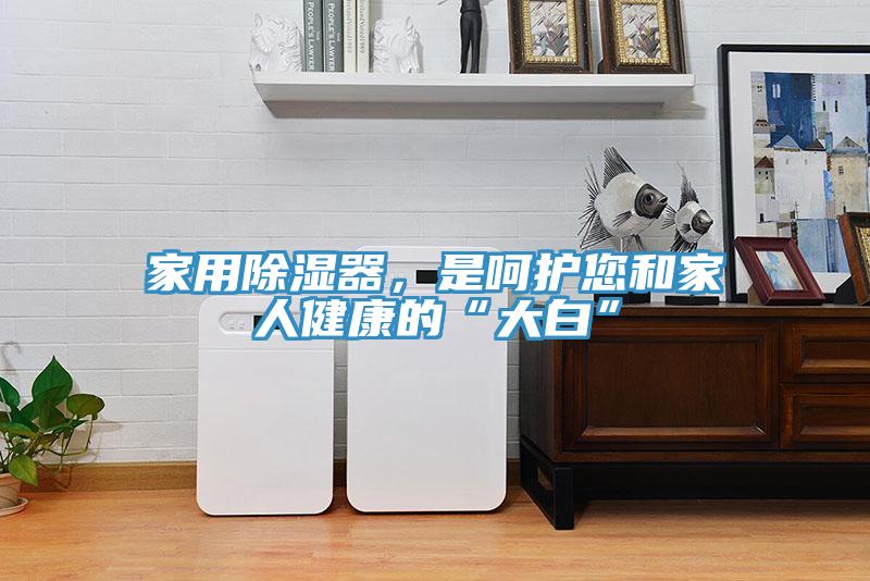 家用除濕器，是呵護(hù)您和家人健康的“大白”