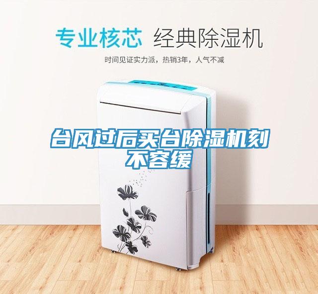 臺(tái)風(fēng)過后買臺(tái)除濕機(jī)刻不容緩