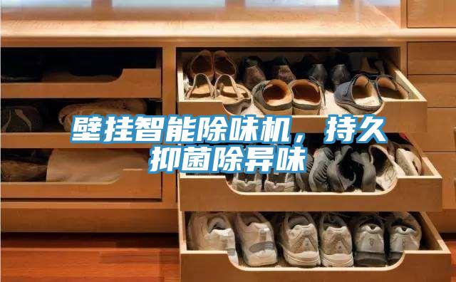 壁掛智能除味機，持久抑菌除異味