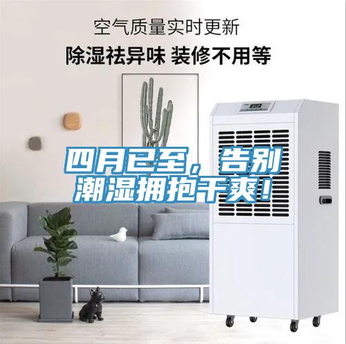 四月已至，告別潮濕擁抱干爽！