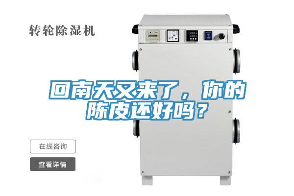 回南天又來(lái)了，你的陳皮還好嗎？