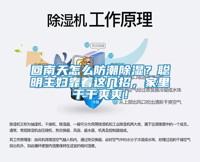 回南天怎么防潮除濕？聰明主婦靠著這幾招，家里干干爽爽！