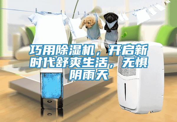 巧用除濕機，開啟新時代舒爽生活，無懼陰雨天