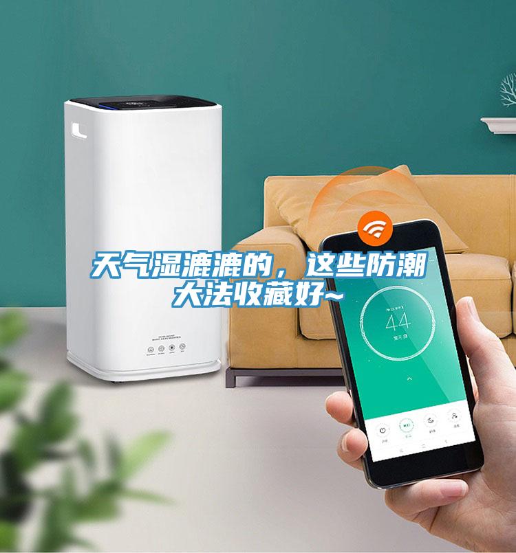 天氣濕漉漉的，這些防潮大法收藏好~