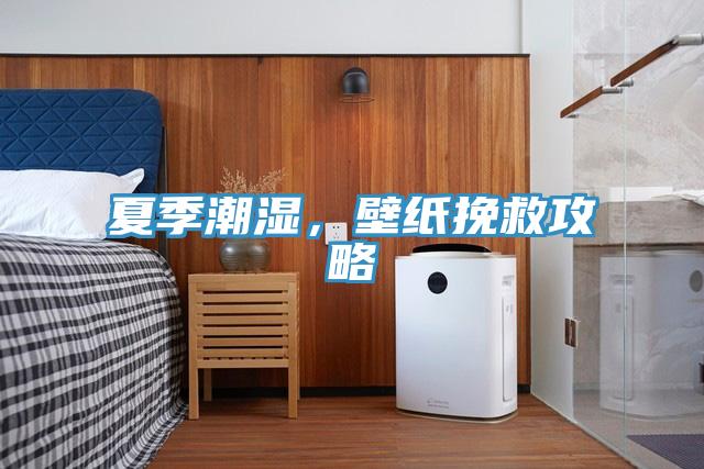 夏季潮濕，壁紙挽救攻略
