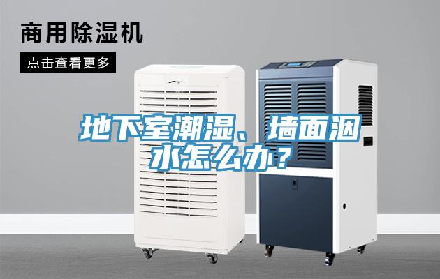 地下室潮濕、墻面洇水怎么辦？