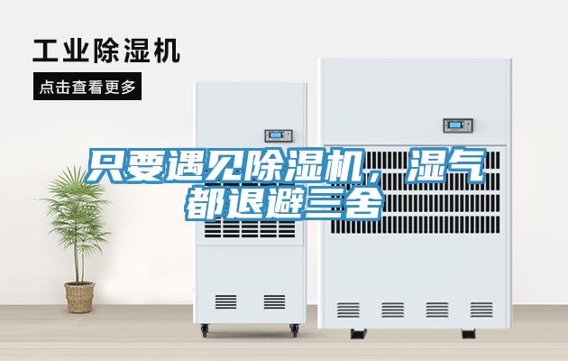 只要遇見(jiàn)除濕機(jī)，濕氣都退避三舍