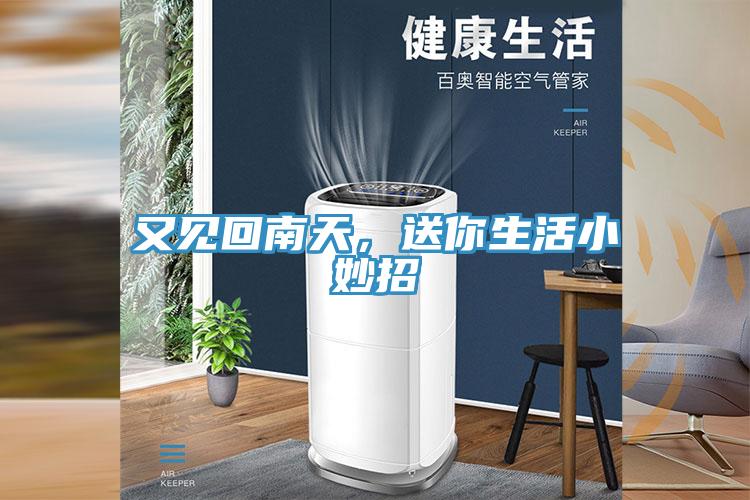 又見回南天，送你生活小妙招