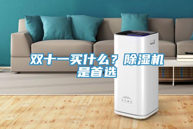 雙十一買什么？除濕機是首選