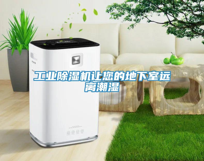 工業除濕機讓您的地下室遠離潮濕