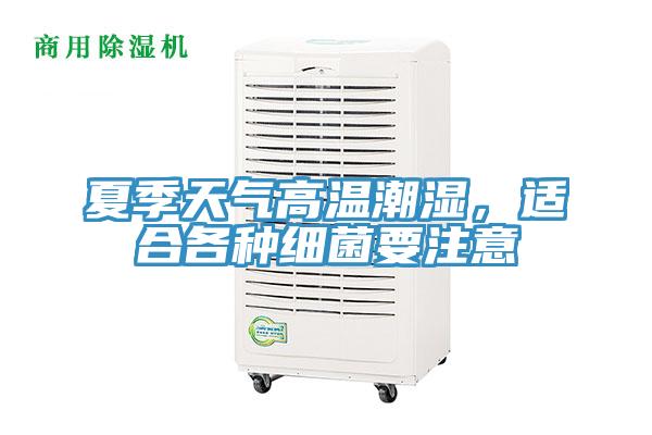 夏季天氣高溫潮濕，適合各種細菌要注意