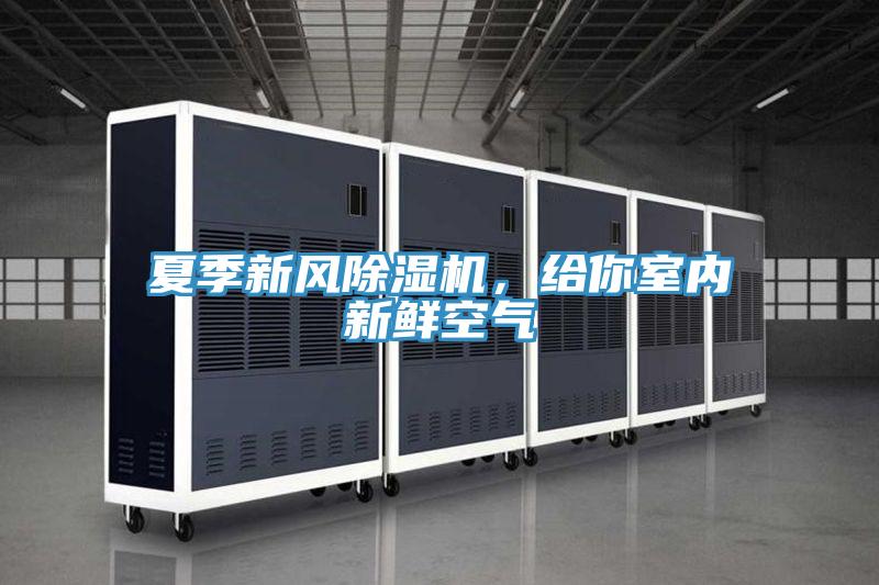 夏季新風除濕機，給你室內(nèi)新鮮空氣