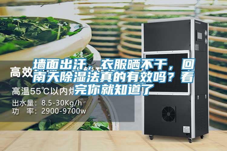墻面出汗，衣服曬不干，回南天除濕法真的有效嗎？看完你就知道了