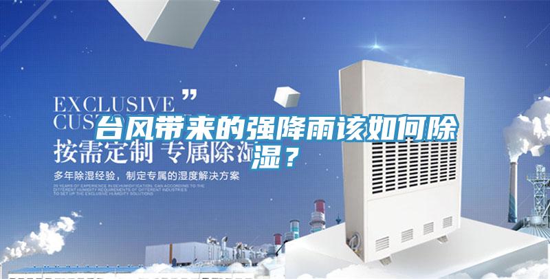 臺(tái)風(fēng)帶來的強(qiáng)降雨該如何除濕？