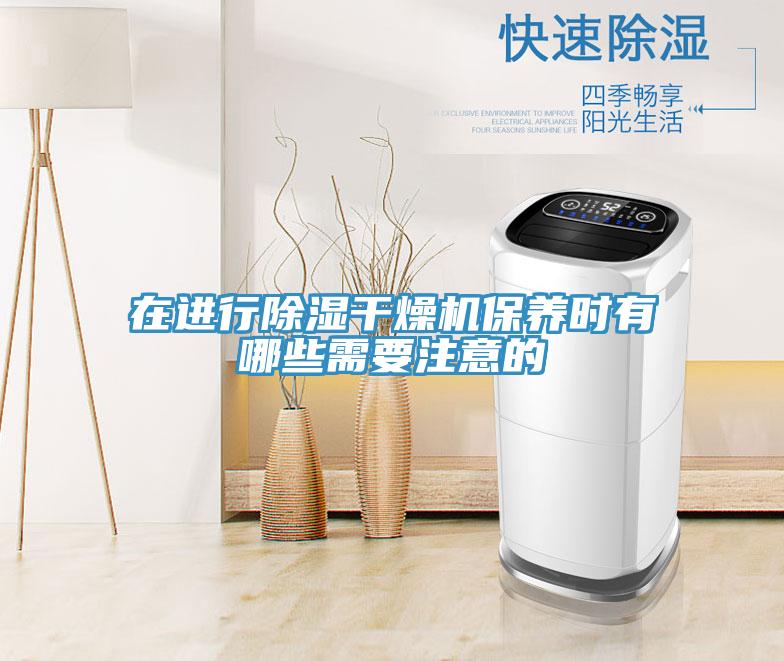 在進(jìn)行除濕干燥機(jī)保養(yǎng)時有哪些需要注意的