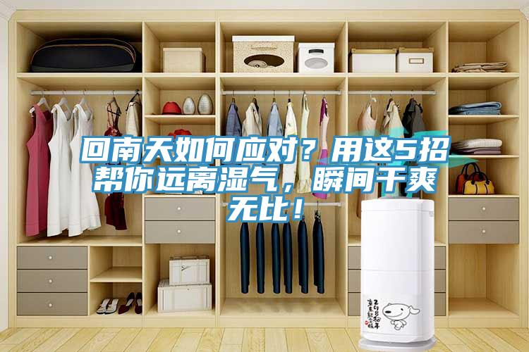 回南天如何應(yīng)對(duì)？用這5招幫你遠(yuǎn)離濕氣，瞬間干爽無(wú)比！