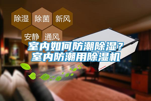 室內(nèi)如何防潮除濕？室內(nèi)防潮用除濕機