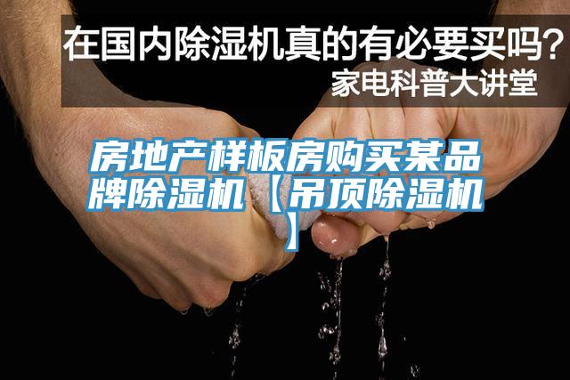 房地產(chǎn)樣板房購買某品牌除濕機(jī)【吊頂除濕機(jī)】