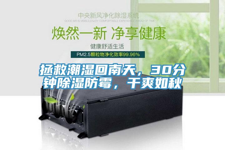 拯救潮濕回南天，30分鐘除濕防霉，干爽如秋