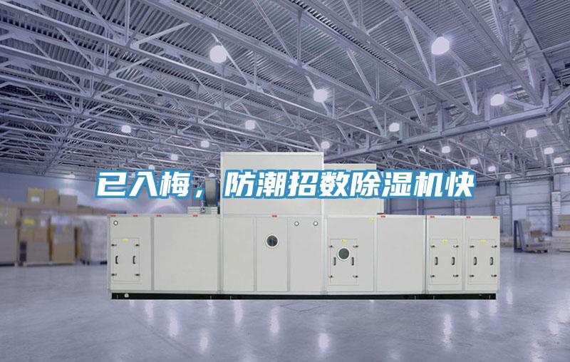 已入梅，防潮招數(shù)除濕機快