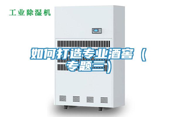 如何打造專(zhuān)業(yè)酒窖（專(zhuān)題三）
