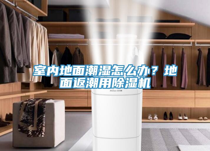 室內(nèi)地面潮濕怎么辦？地面返潮用除濕機