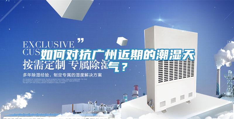如何對(duì)抗廣州近期的潮濕天氣？