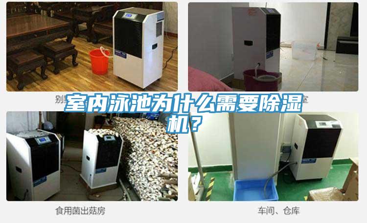 室內(nèi)泳池為什么需要除濕機(jī)？