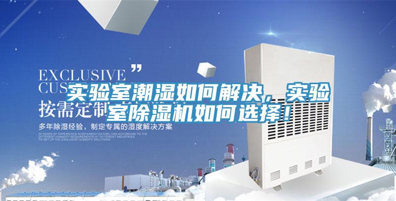 實驗室潮濕如何解決，實驗室除濕機如何選擇！