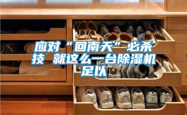應(yīng)對(duì)“回南天”必殺技 就這么一臺(tái)除濕機(jī)足以