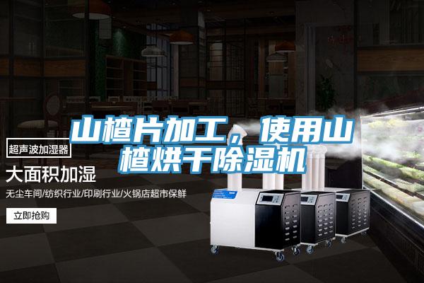 山楂片加工，使用山楂烘干除濕機(jī)