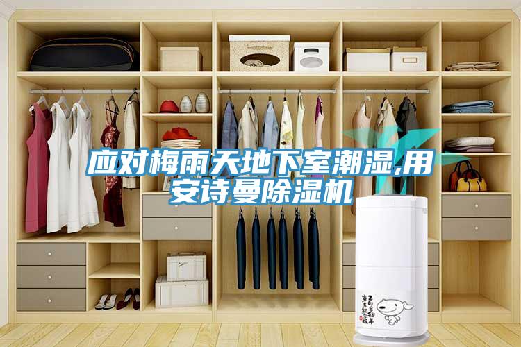 應對梅雨天地下室潮濕,用安詩曼除濕機