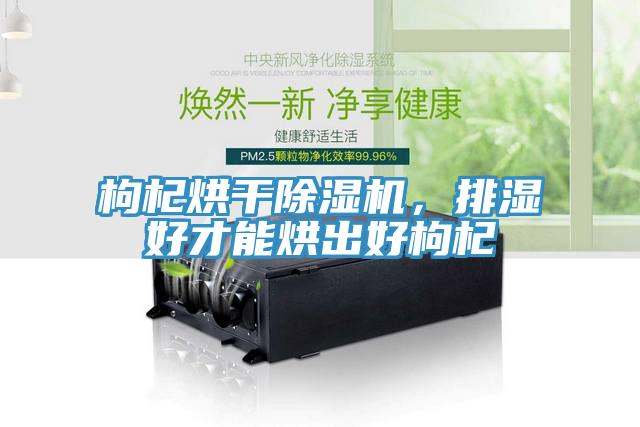 枸杞烘干除濕機，排濕好才能烘出好枸杞