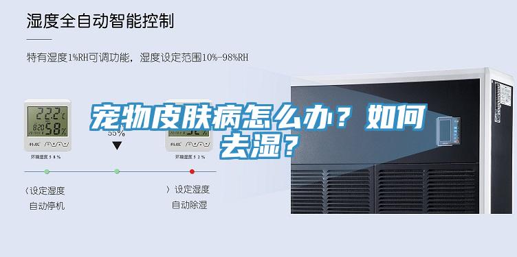 寵物皮膚病怎么辦？如何去濕？