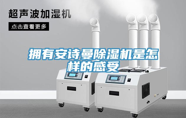 擁有安詩曼除濕機(jī)是怎樣的感受