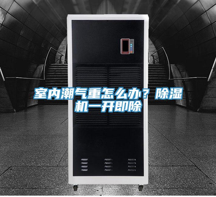 室內(nèi)潮氣重怎么辦？除濕機(jī)一開即除