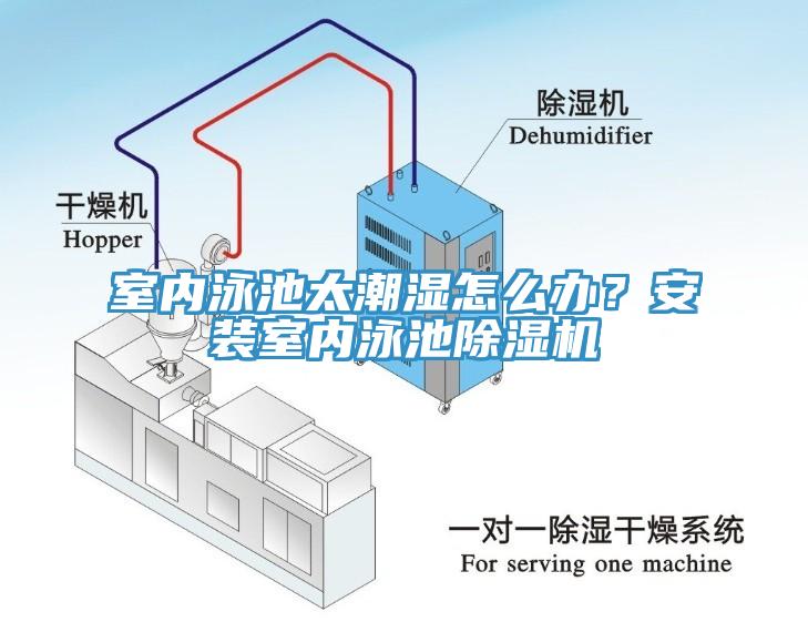 室內(nèi)泳池太潮濕怎么辦？安裝室內(nèi)泳池除濕機