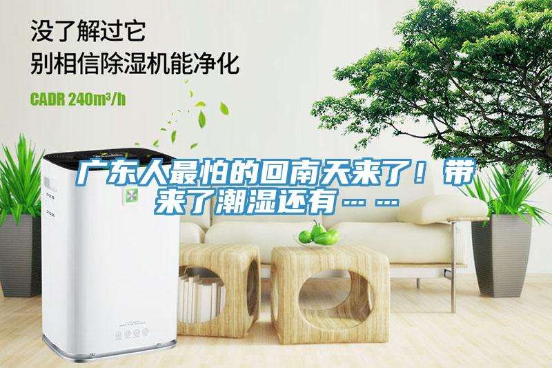廣東人最怕的回南天來了！帶來了潮濕還有……