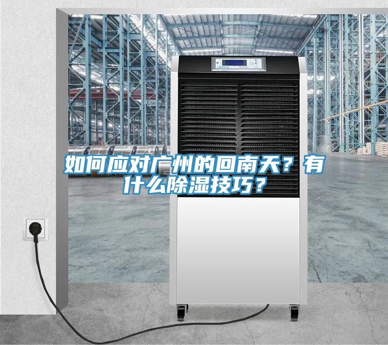 如何應(yīng)對廣州的回南天？有什么除濕技巧？