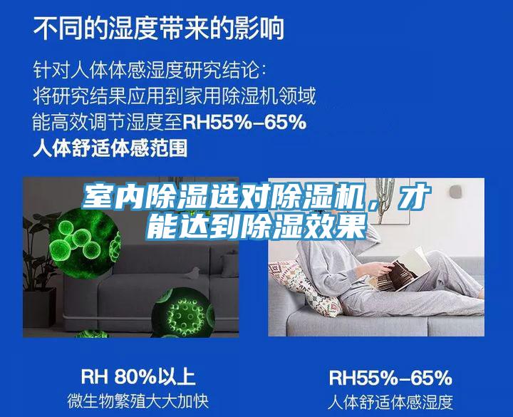 室內(nèi)除濕選對除濕機，才能達到除濕效果
