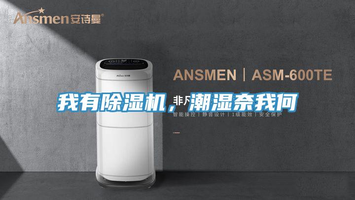 我有除濕機，潮濕奈我何