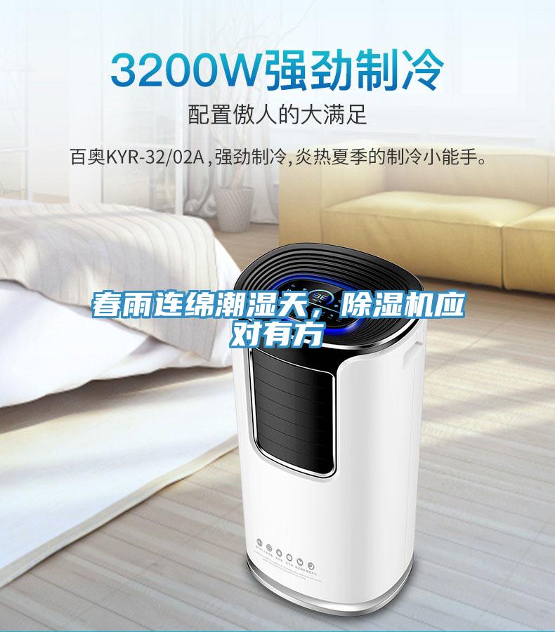 春雨連綿潮濕天，除濕機應對有方