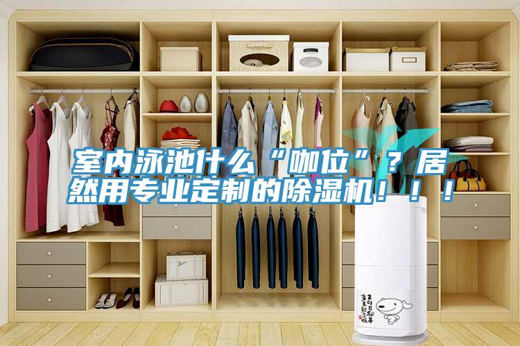 室內(nèi)泳池什么“咖位”？居然用專業(yè)定制的除濕機(jī)?。?！