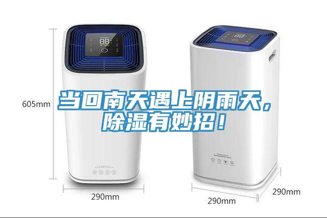 當回南天遇上陰雨天，除濕有妙招！
