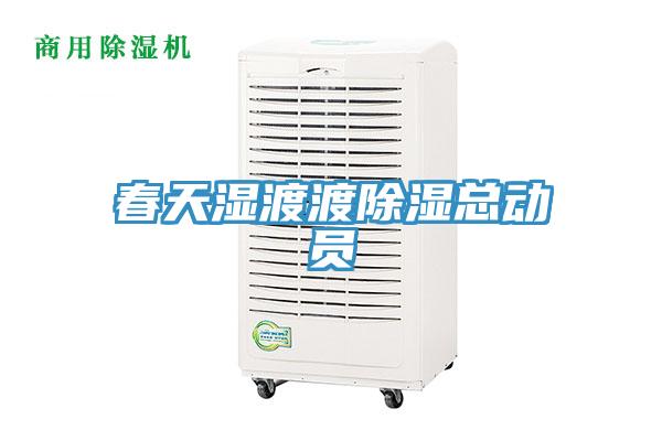 春天濕渡渡除濕總動員